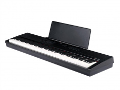 Vivace (Black)
