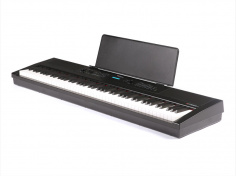 Vivace Pro Black