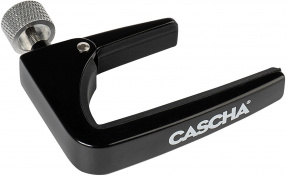 CACP2A