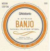 EJ61 Banjo 5-String Nickel