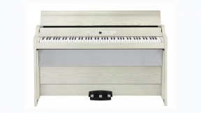 G1B Air WA