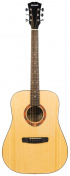 Akustická kytara Model D