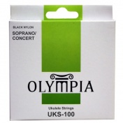 UKS 100