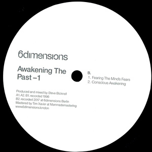 Steve Bicknell Awakening The Past - 1