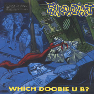 Which Doobie U B? LP