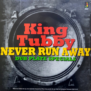 Never Run Away - Dub Plate Specials  LP