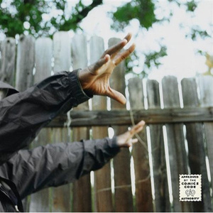 Madvillainy 2: The Madlib Remix  2xLP