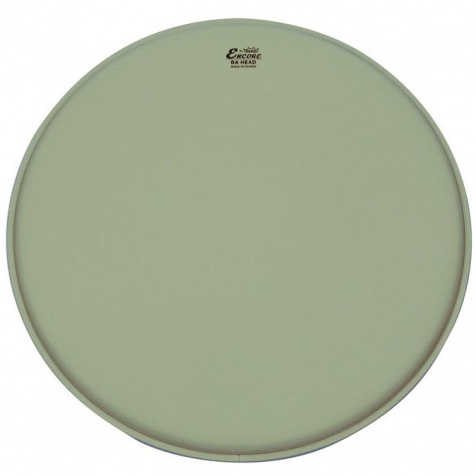 Encore Ambassador Coated Bass 22"