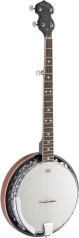 BJM30 DL pětistrunné banjo