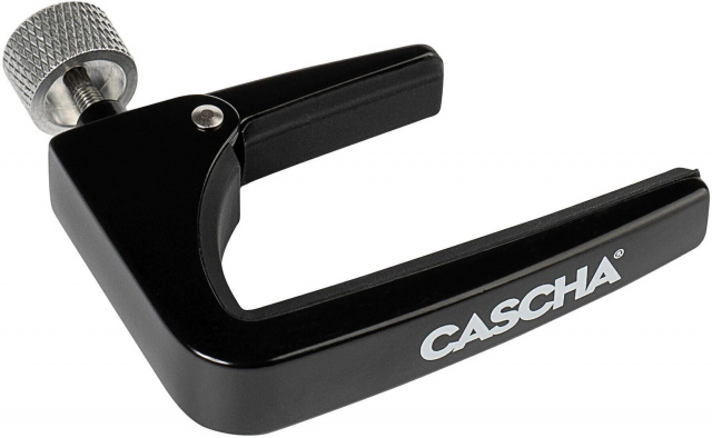 CACP2A