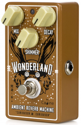 Wonderland Reverb