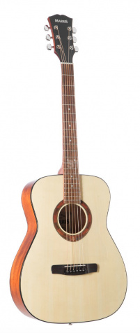 Akustická kytara Model T