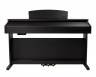 DP-10e Rosewood