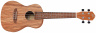 Koncertní ukulele RFU11-Z