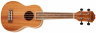 UC-004-WD